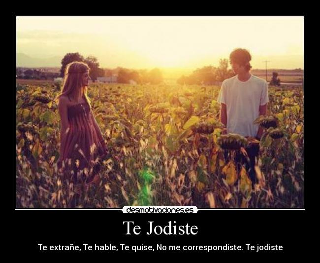 Te Jodiste - Te extrañe, Te hable, Te quise, No me correspondiste. Te jodiste