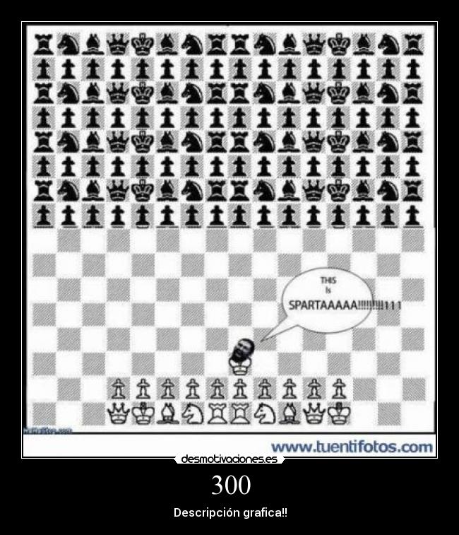 300 - Descripción grafica!!