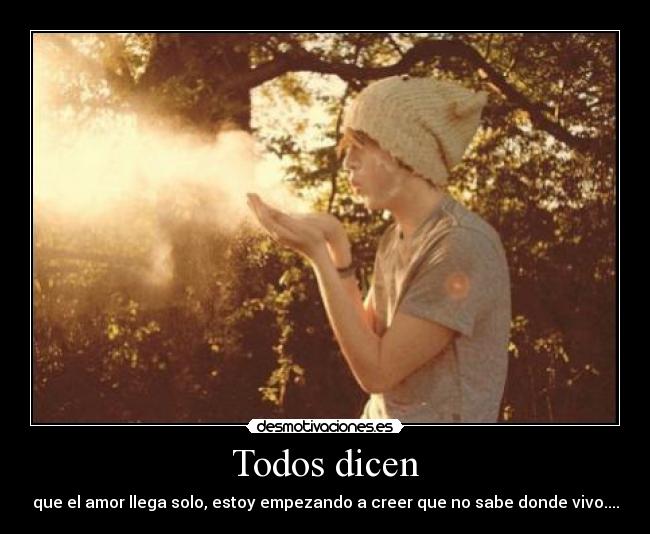 Todos dicen -