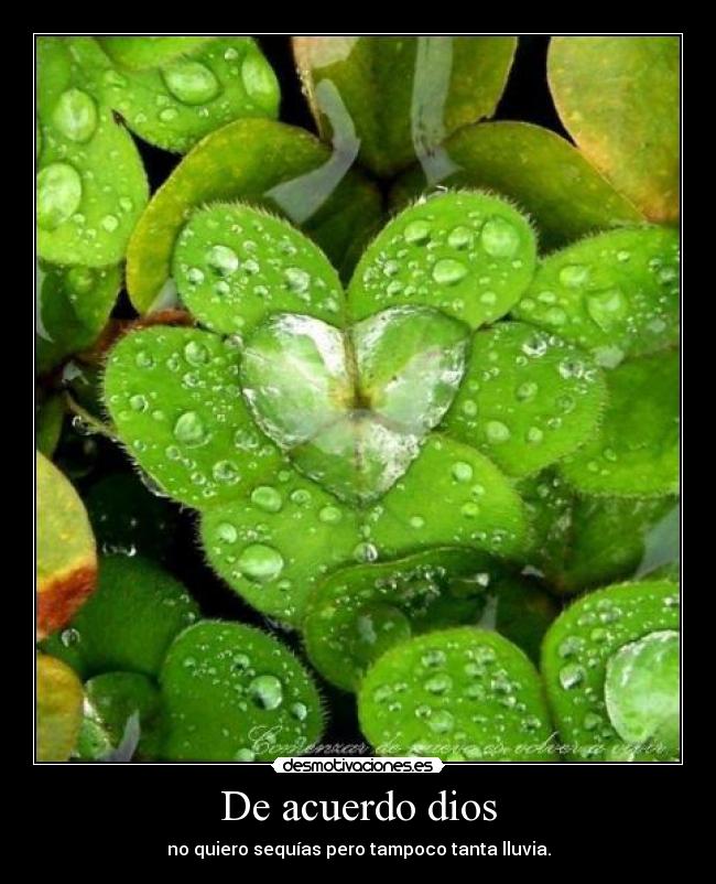 De acuerdo dios - no quiero sequías pero tampoco tanta lluvia.