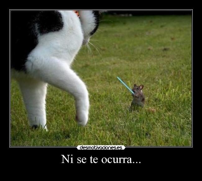 Ni se te ocurra... -