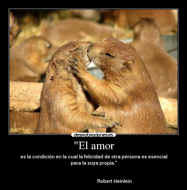 carteles amor love desmotivaciones