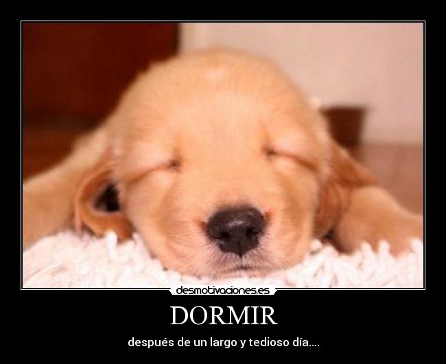 carteles dormir carlos peroza desmotivaciones