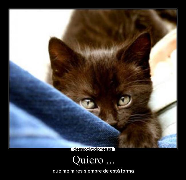 carteles buenoo tampcoo exsajeradoo dxxd desmotivaciones