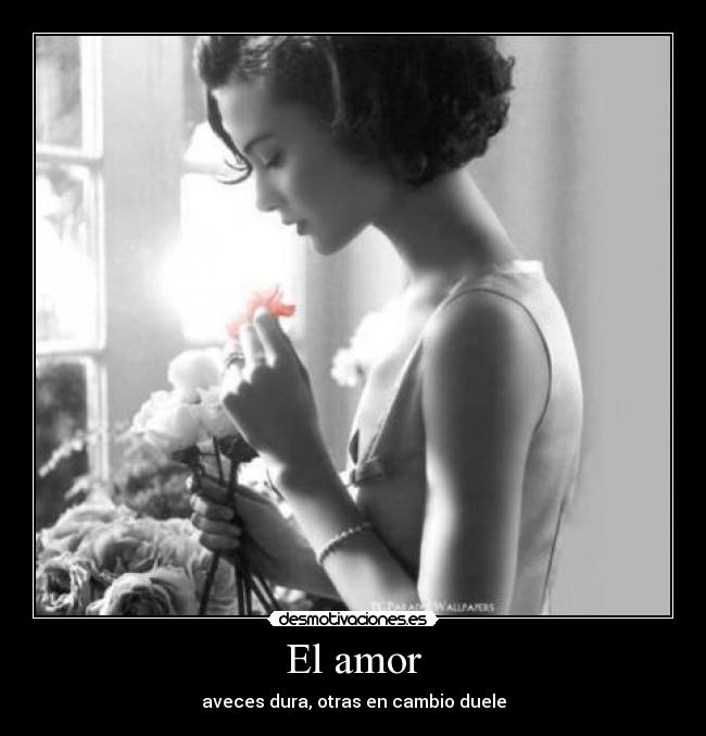 El amor - aveces dura, otras en cambio duele