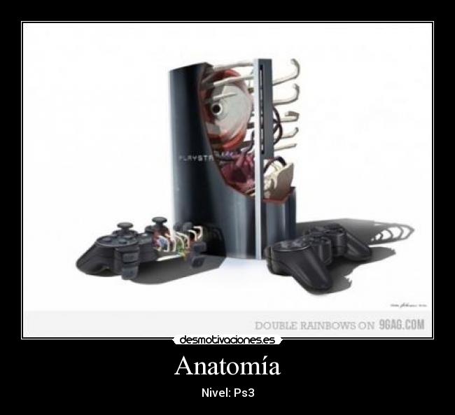 Anatomía - Nivel: Ps3