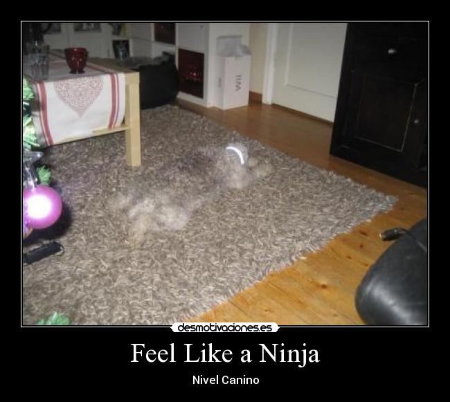 Feel Like a Ninja - 