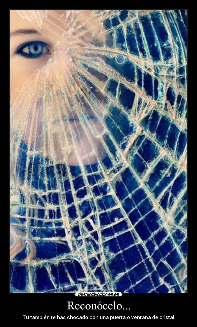 Reconócelo... - Tú también te has chocado con una puerta o ventana de cristal