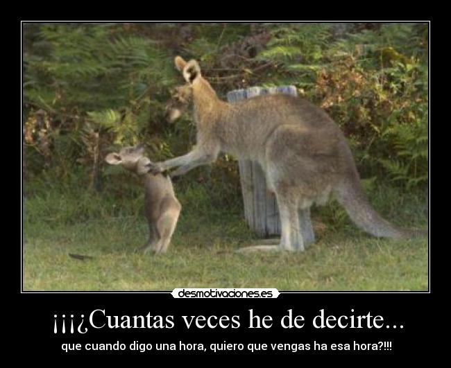 ¡¡¡¿Cuantas veces he de decirte... - que cuando digo una hora, quiero que vengas ha esa hora?!!!