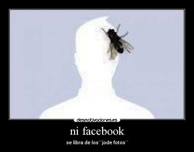 ni facebook - se libra de los´´jode fotos``
