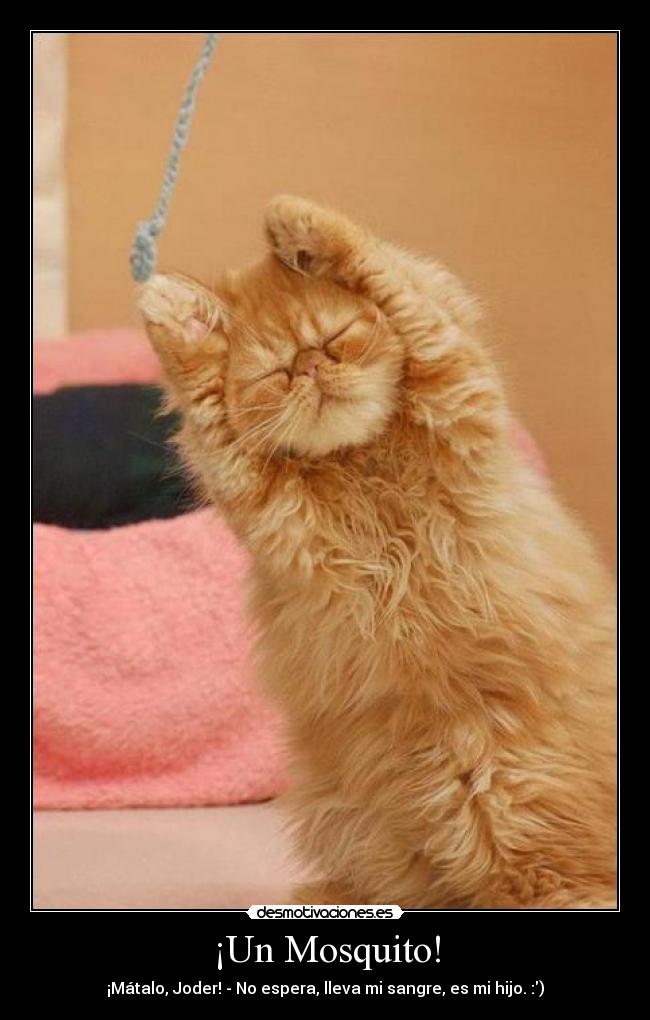 ¡Un Mosquito! - ¡Mátalo, Joder! - No espera, lleva mi sangre, es mi hijo. :)