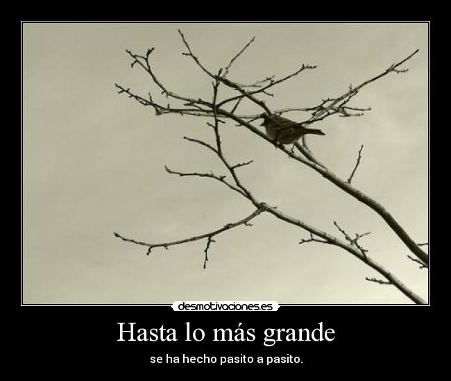 Hasta lo más grande - se ha hecho pasito a pasito.