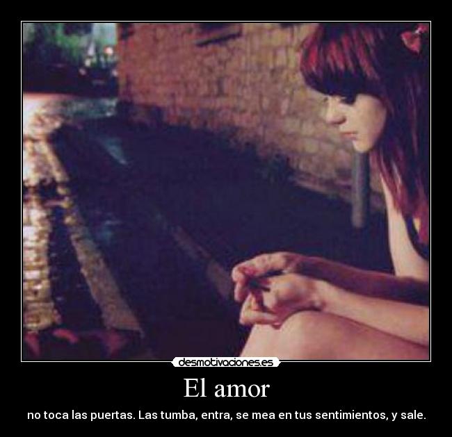 El amor - 