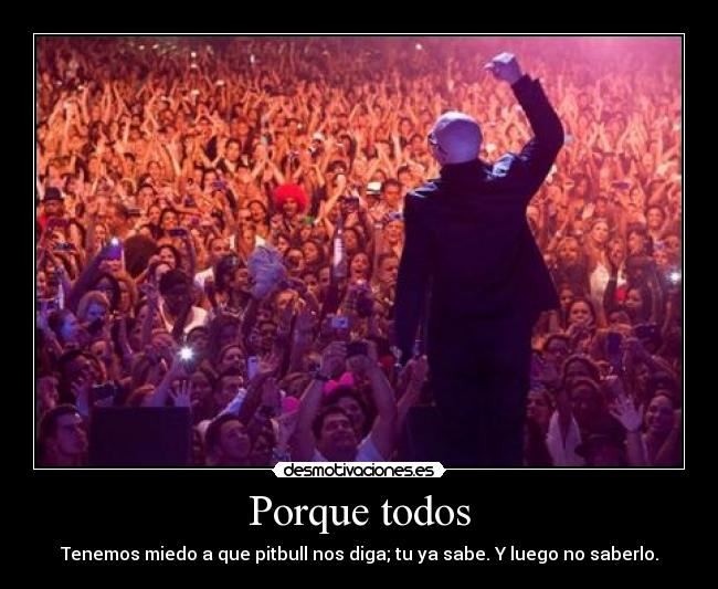 carteles pitbull desmotivaciones