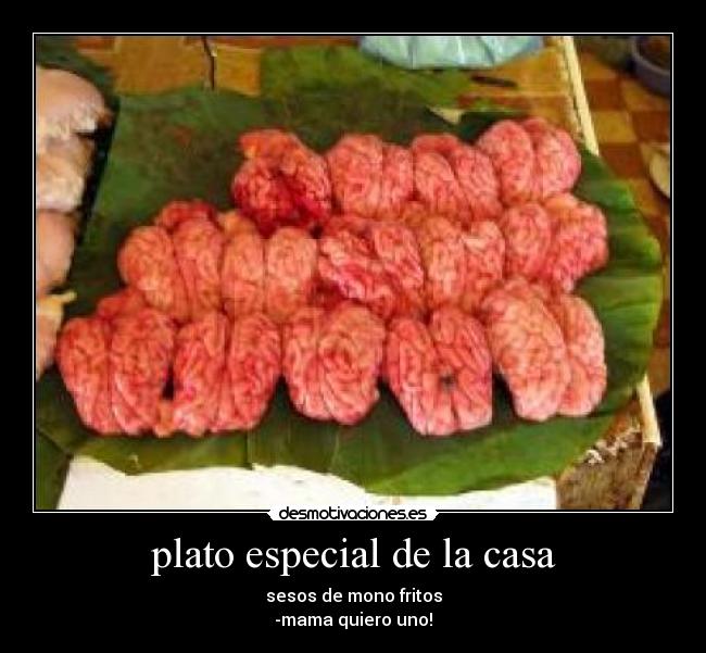 plato especial de la casa - sesos de mono fritos
-mama quiero uno!