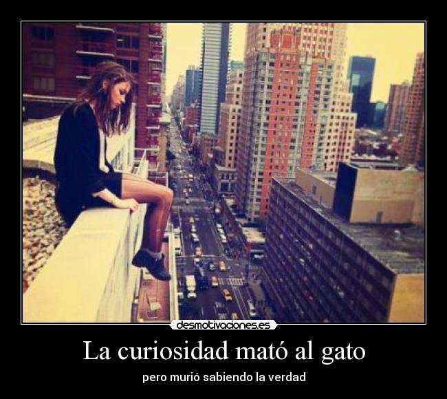 La curiosidad mató al gato - 