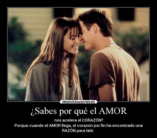 carteles amor hola desmotivaciones