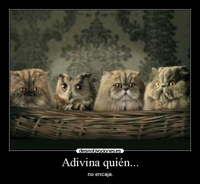 Adivina quién... - no encaja.