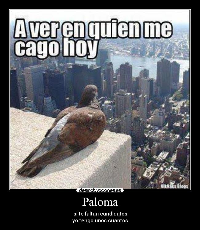 Paloma - si te faltan candidatos
yo tengo unos cuantos