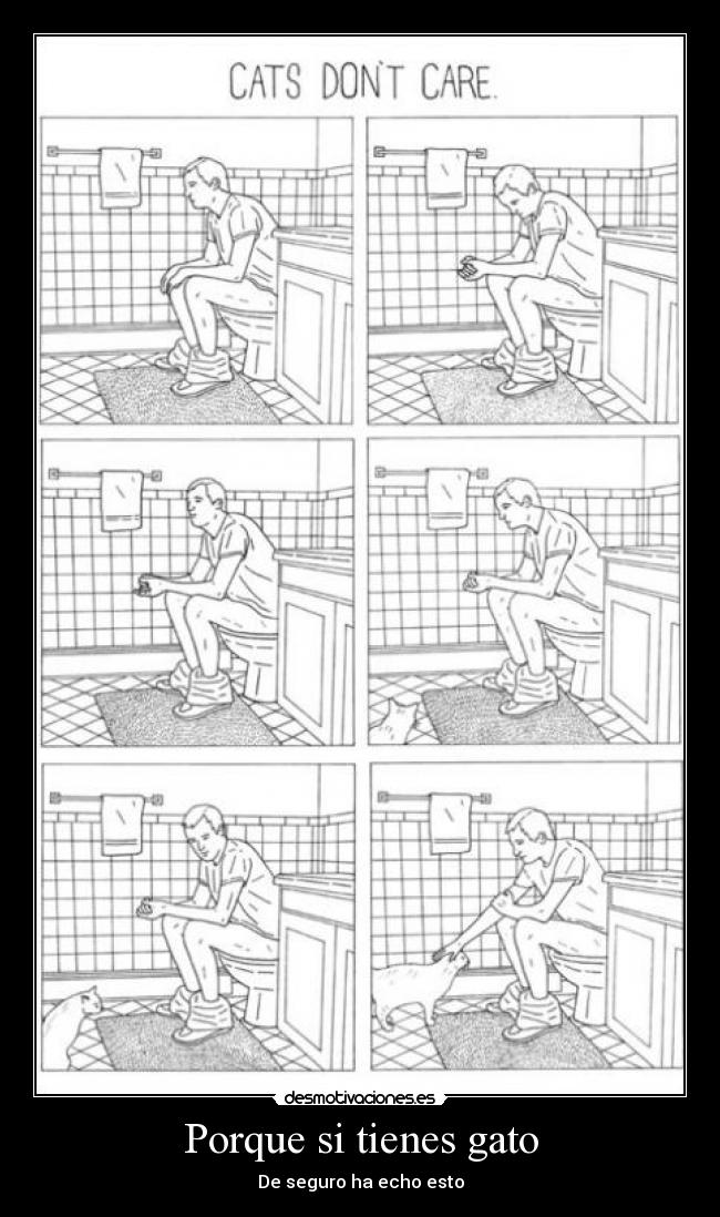 carteles gatosbano cagar desmotivaciones