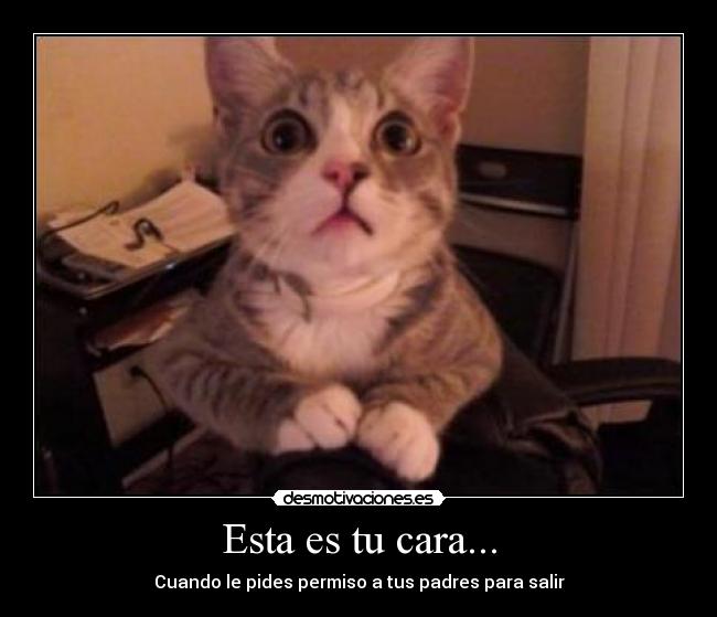 Esta es tu cara... - Cuando le pides permiso a tus padres para salir