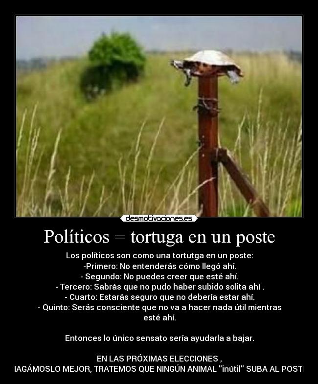 Políticos = tortuga en un poste - Los políticos son como una tortutga en un poste:
-Primero: No entenderás cómo llegó ahí.
- Segundo: No puedes creer que esté ahí.
- Tercero: Sabrás que no pudo haber subido solita ahí .
- Cuarto: Estarás seguro que no debería estar ahí.
- Quinto: Serás consciente que no va a hacer nada útil mientras esté ahí.
Entonces lo único sensato sería ayudarla a bajar.
EN LAS PRÓXIMAS ELECCIONES ,
HAGÁMOSLO MEJOR, TRATEMOS QUE NINGÚN ANIMAL inútil SUBA AL POSTE.