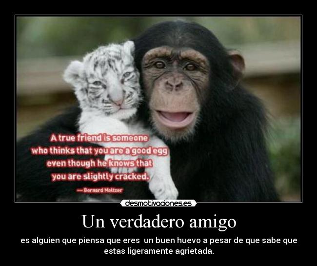 Un verdadero amigo - es alguien que piensa que eres un buen huevo a pesar de que sabe que
estas ligeramente agrietada.