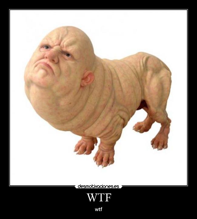 WTF - wtf