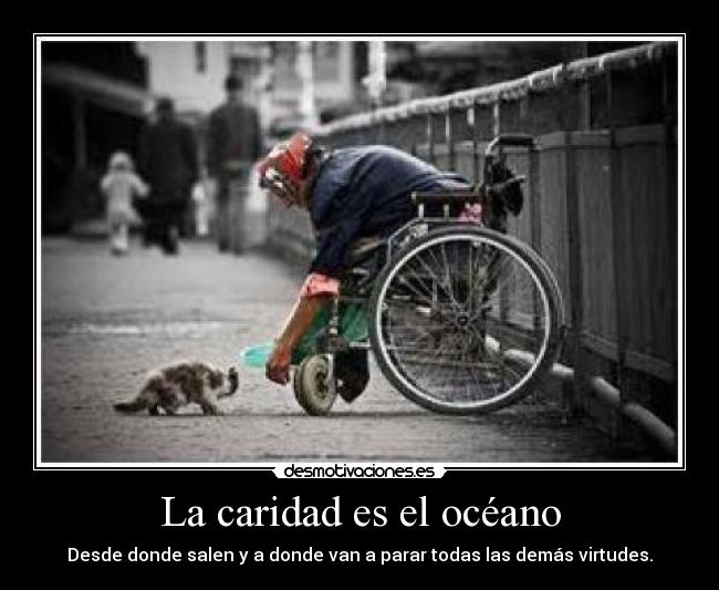La caridad es el océano -