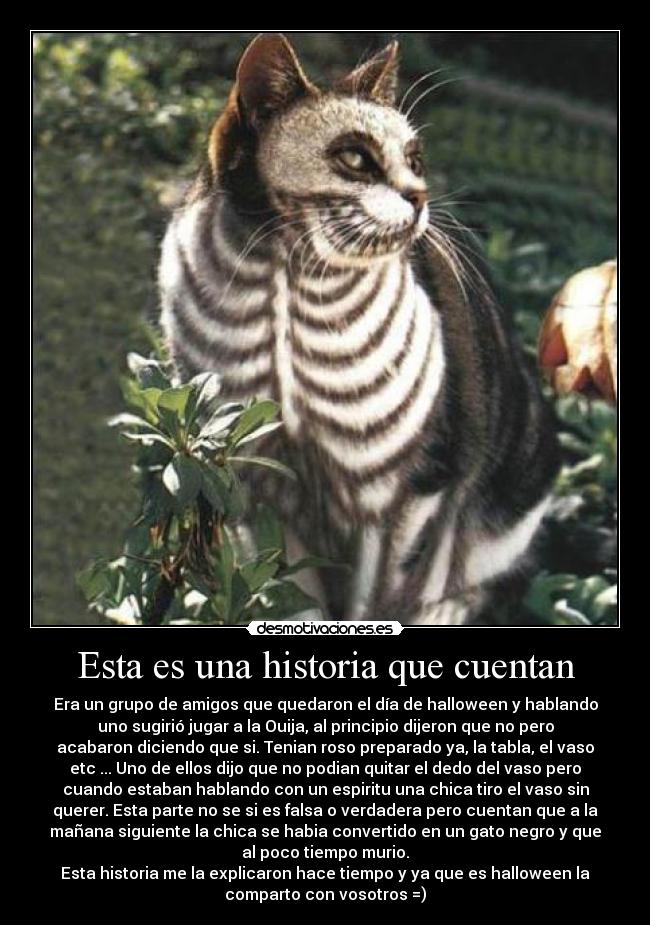 Esta es una historia que cuentan - Era un grupo de amigos que quedaron el día de halloween y hablando
uno sugirió jugar a la Ouija, al principio dijeron que no pero
acabaron diciendo que si. Tenian roso preparado ya, la tabla, el vaso
etc ... Uno de ellos dijo que no podian quitar el dedo del vaso pero
cuando estaban hablando con un espiritu una chica tiro el vaso sin
querer. Esta parte no se si es falsa o verdadera pero cuentan que a la
mañana siguiente la chica se habia convertido en un gato negro y que
al poco tiempo murio.
Esta historia me la explicaron hace tiempo y ya que es halloween la
comparto con vosotros =)