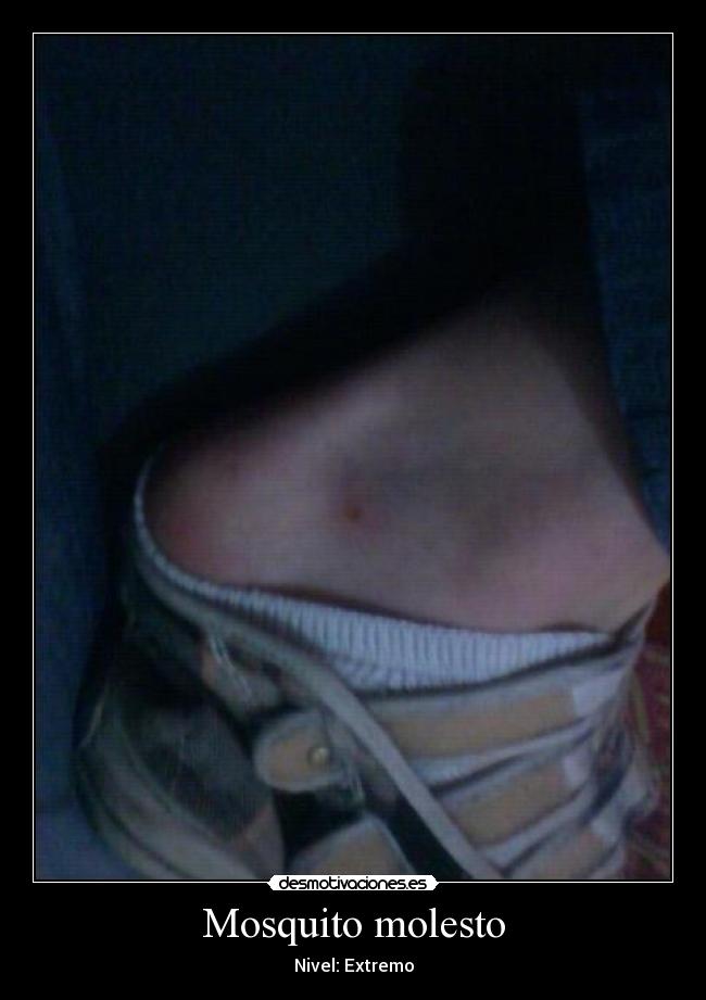Mosquito molesto - 