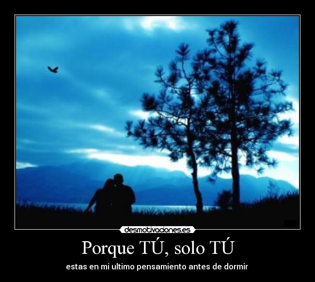 Porque TÚ, solo TÚ - estas en mi ultimo pensamiento antes de dormir ♥