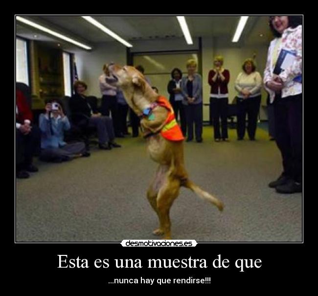 Esta es una muestra de que -