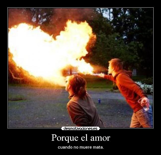 Porque el amor - 
