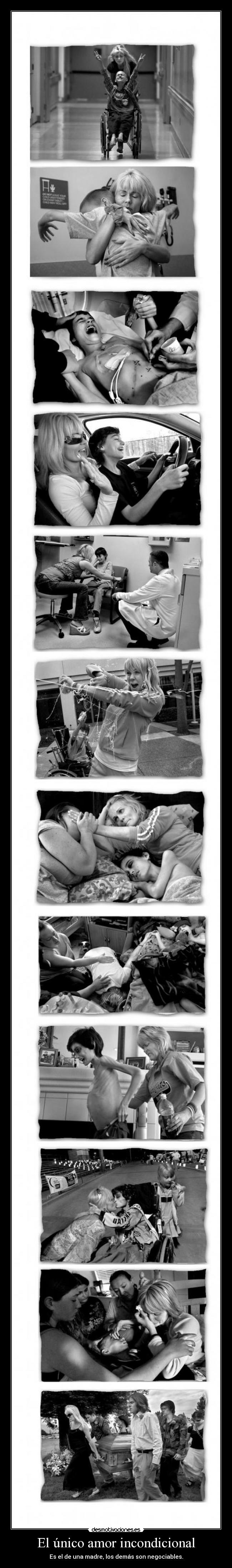 El único amor incondicional -