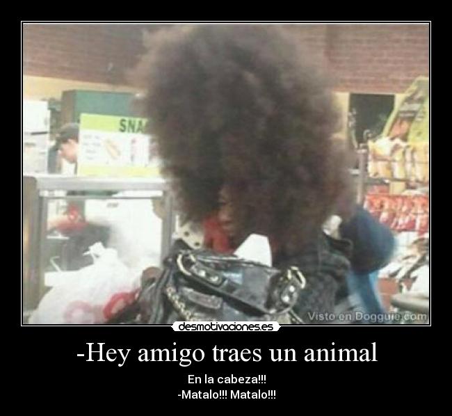 -Hey amigo traes un animal - En la cabeza!!!
-Matalo!!! Matalo!!!