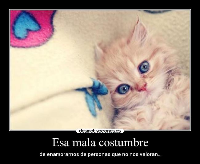 carteles lupuz desmotivaciones