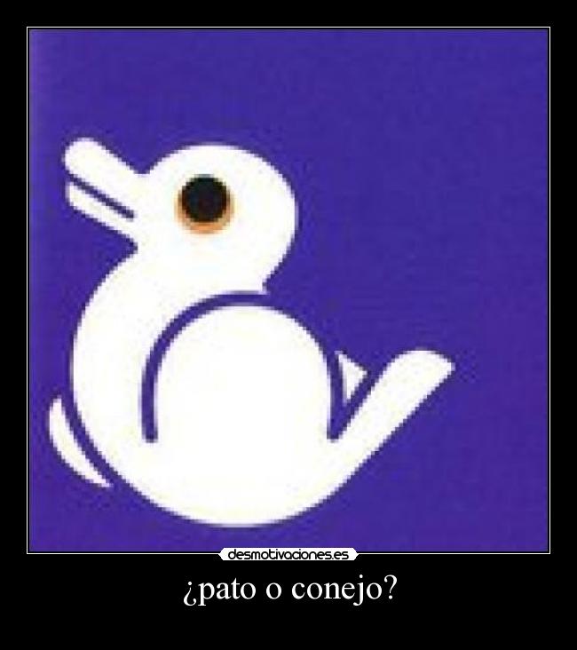 ¿pato o conejo? -