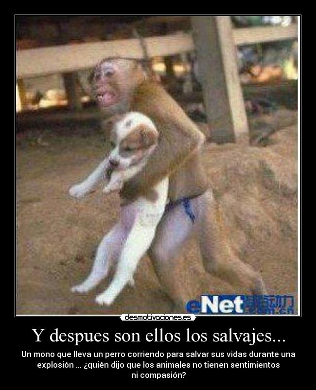 Y despues son ellos los salvajes... -
