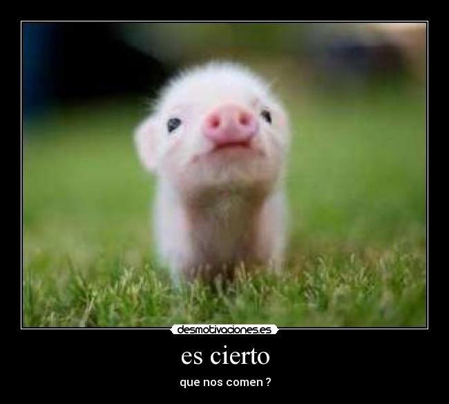 es cierto -