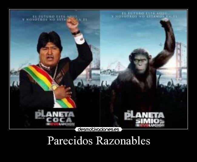 carteles bolivia presidente evo mono desmotivaciones