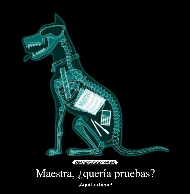Maestra, ¿quería pruebas? -