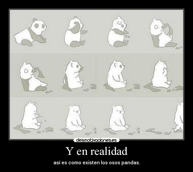 Y en realidad - así es como existen los osos pandas.
