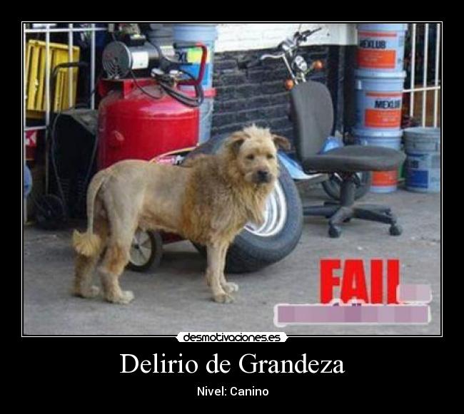 Delirio de Grandeza -