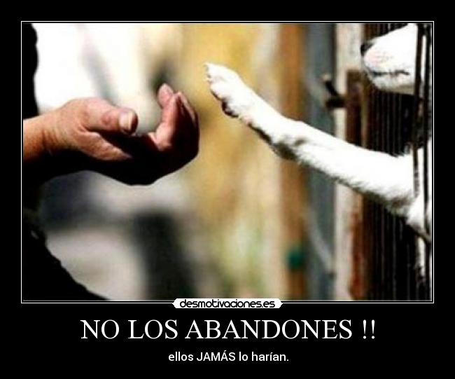 NO LOS ABANDONES !! - ellos JAMÁS lo harían.