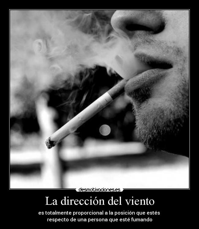 La dirección del viento -