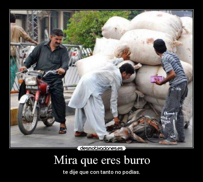 Mira que eres burro - te dije que con tanto no podías.