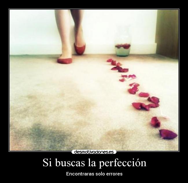 Si buscas la perfección -