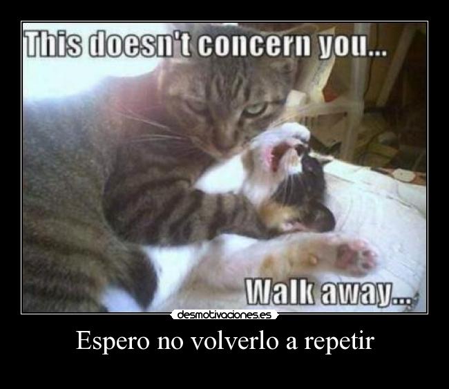 Espero no volverlo a repetir -