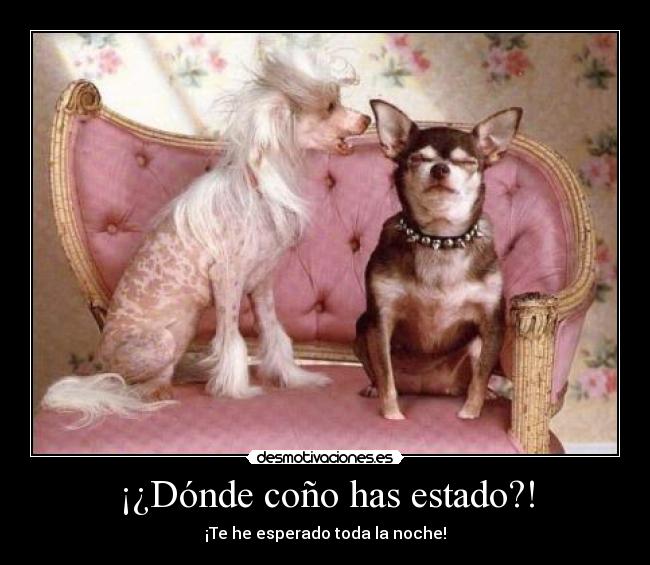 ¡¿Dónde coño has estado?! - ¡Te he esperado toda la noche!